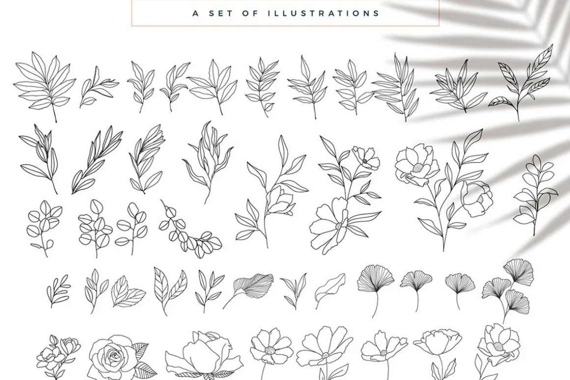 The Ultimate Branding Collection