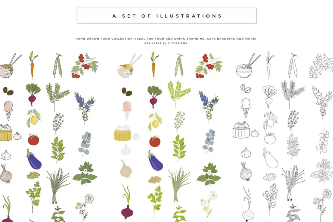 The Ultimate Branding Collection