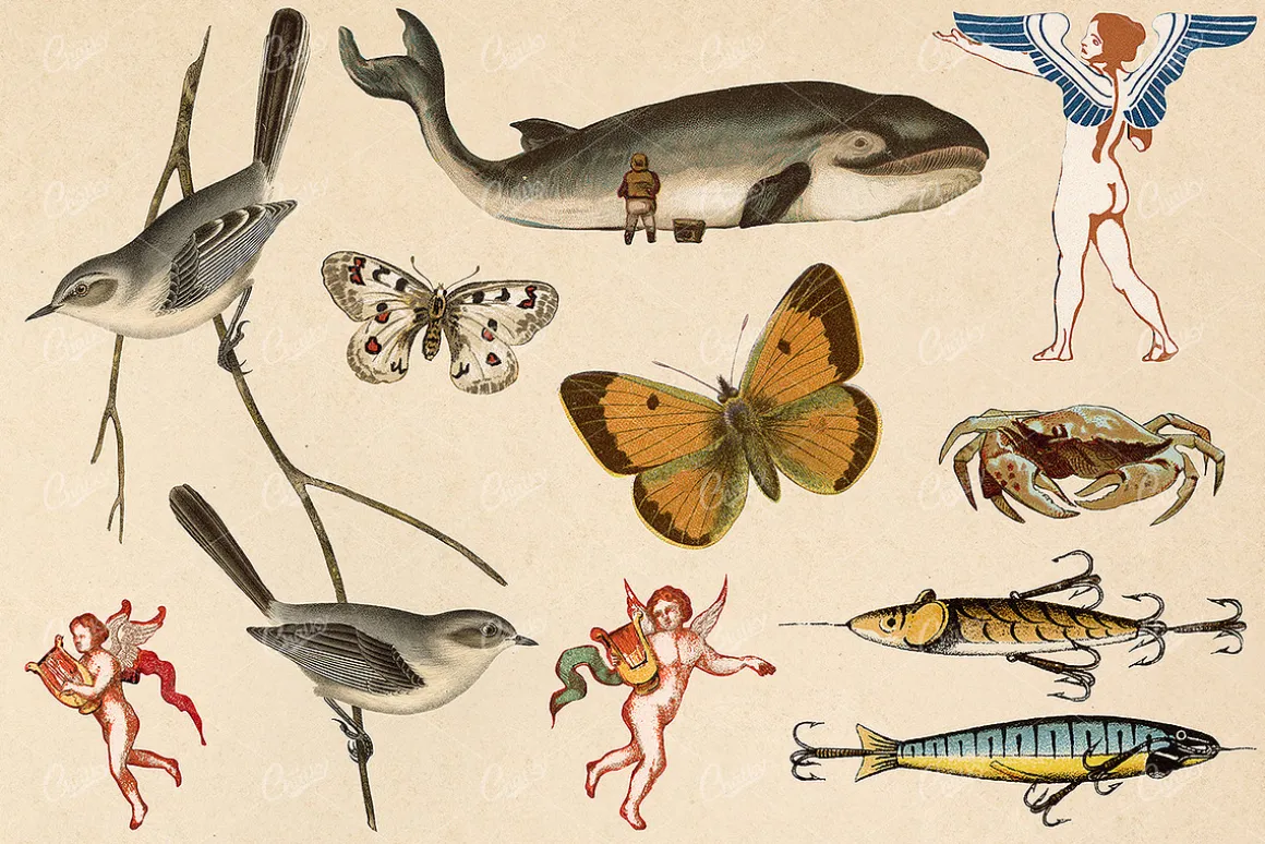 The Vintage Collage Creator Vol.2