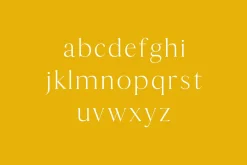 Thomas Mag Serif Fonts Family Pack