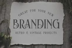 Thompson Vintage Font