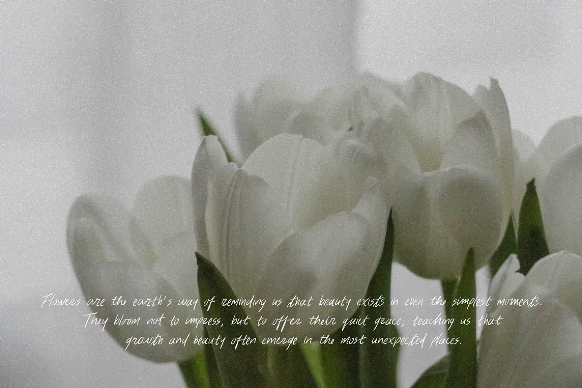 Thursday Morning Handwritten Font