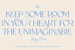 Tokyo Dreams Display Ligature Serif