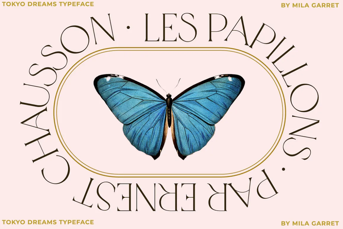 Tokyo Dreams Display Ligature Serif