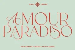 Tokyo Dreams Display Ligature Serif