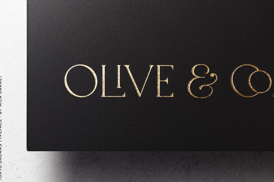Tokyo Dreams Display Ligature Serif