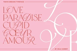 Tokyo Dreams Display Ligature Serif