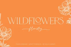 Tokyo Dreams Display Ligature Serif