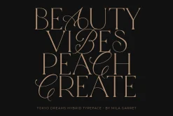 Tokyo Dreams Display Ligature Serif