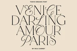 Tokyo Dreams Display Ligature Serif
