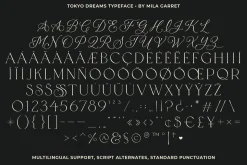 Tokyo Dreams Display Ligature Serif