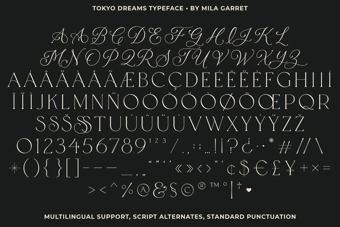 Tokyo Dreams Display Ligature Serif