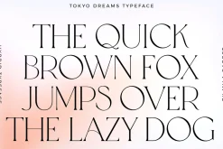 Tokyo Dreams Display Ligature Serif