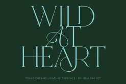 Tokyo Dreams Display Ligature Serif