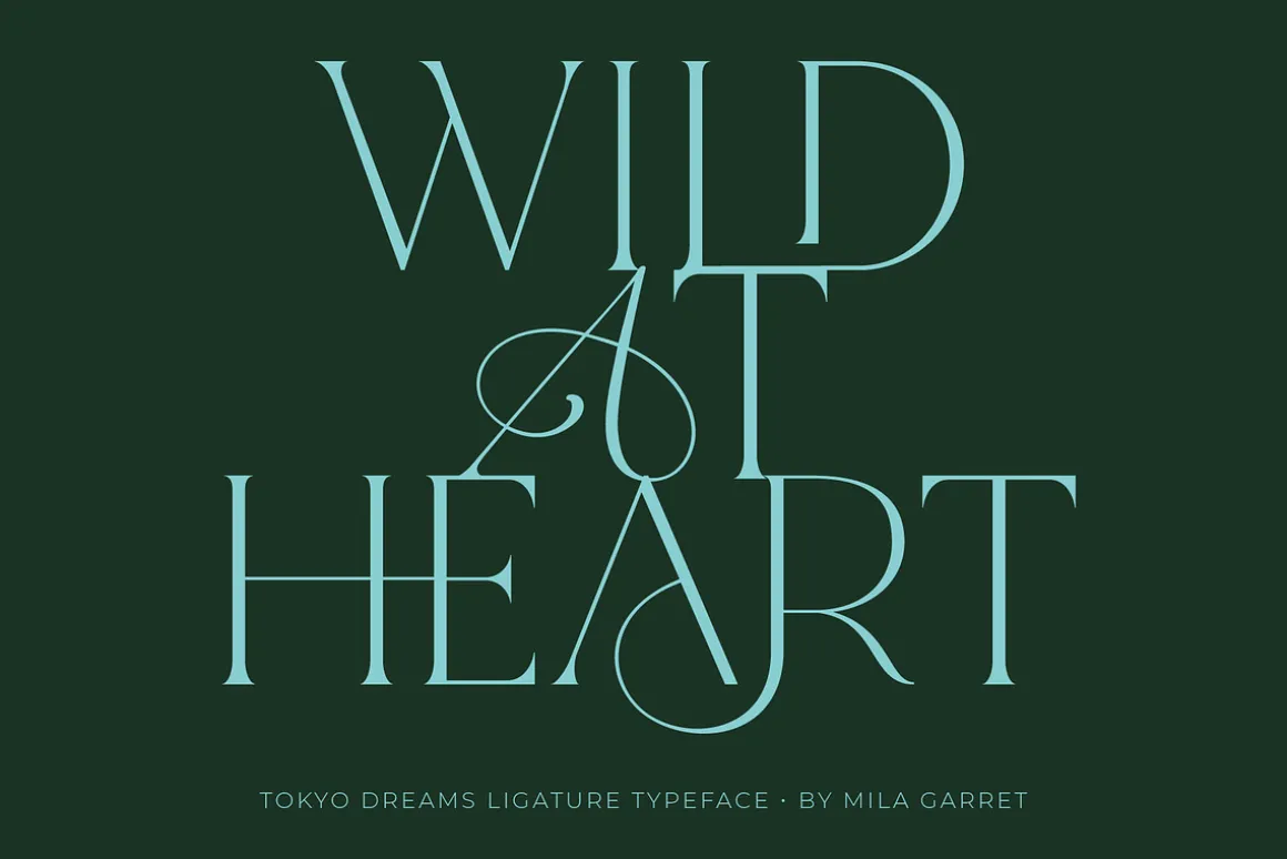 Tokyo Dreams Display Ligature Serif