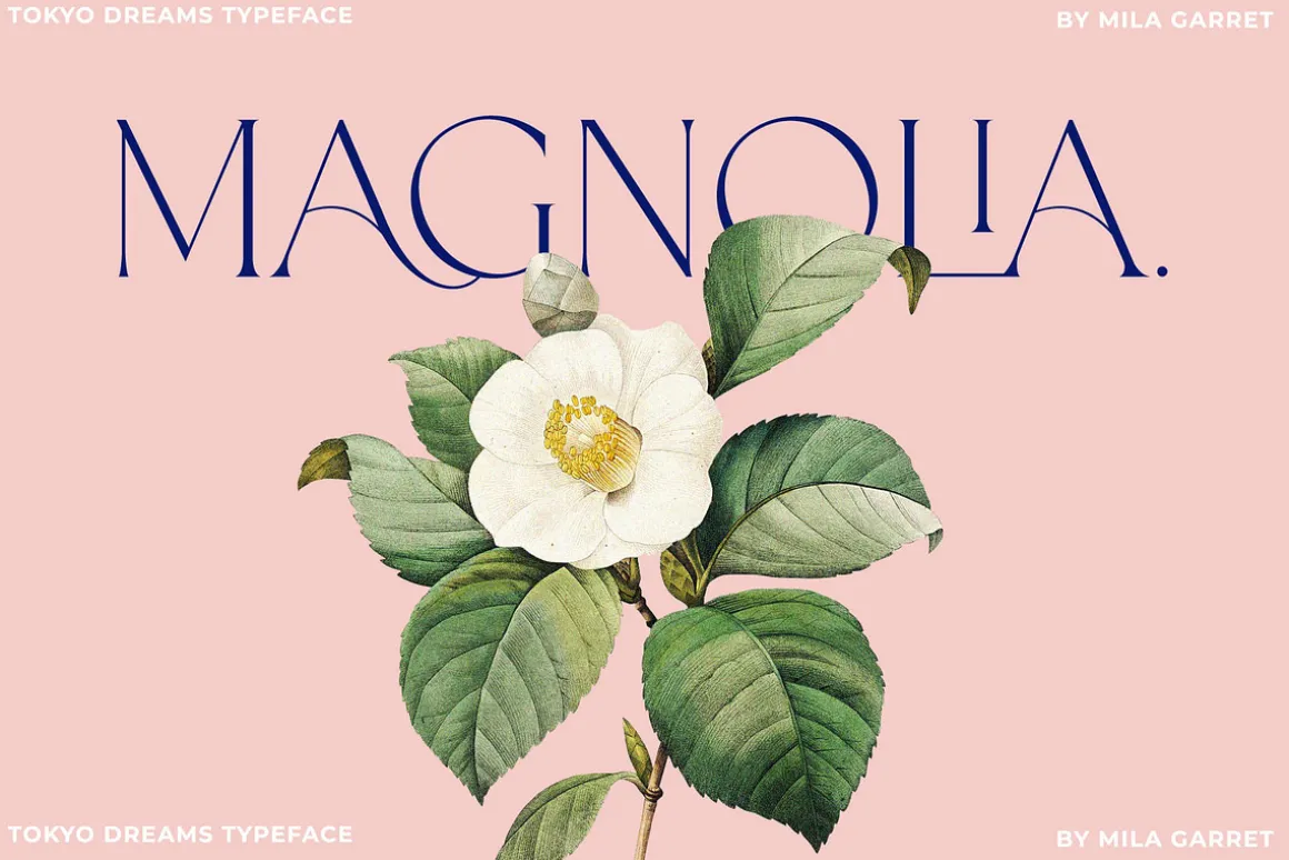 Tokyo Dreams Display Ligature Serif