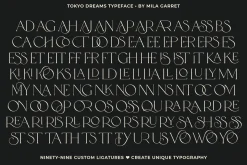 Tokyo Dreams Display Ligature Serif