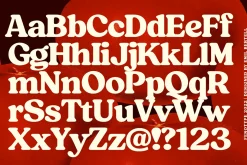 Tomato Ketchup Retro Serif Font