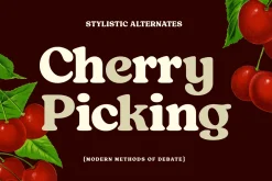 Tomato Ketchup Retro Serif Font