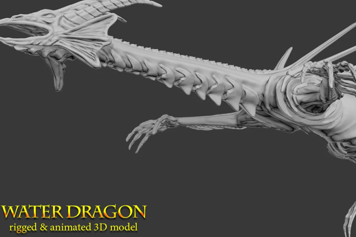 Toon Water Dragon