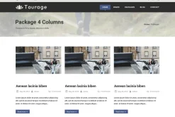 Tourage - PSD Website Template