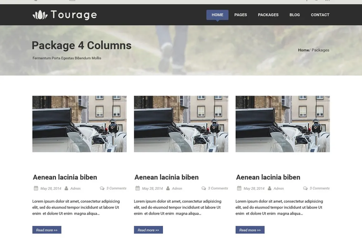 Tourage - PSD Website Template
