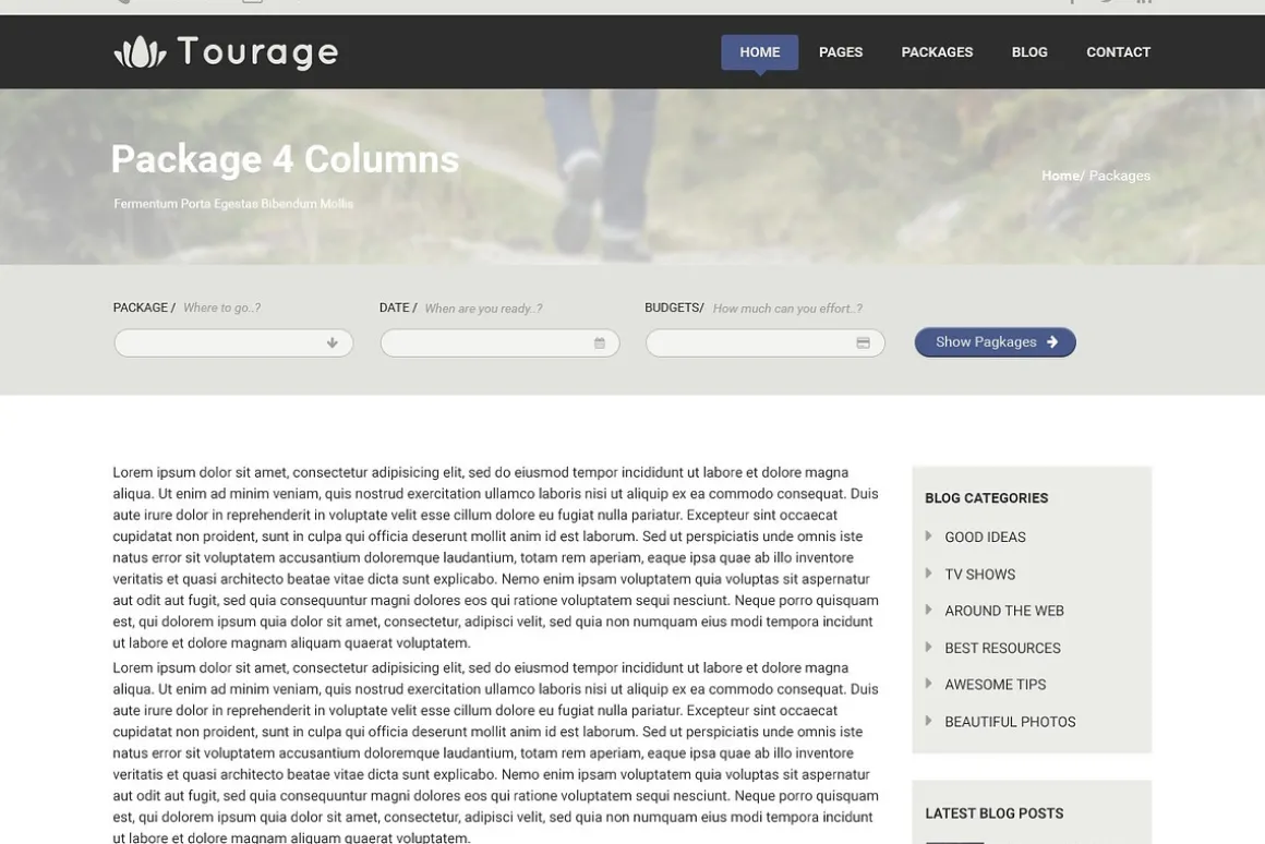Tourage - PSD Website Template