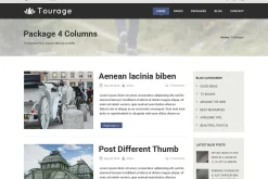 Tourage - PSD Website Template