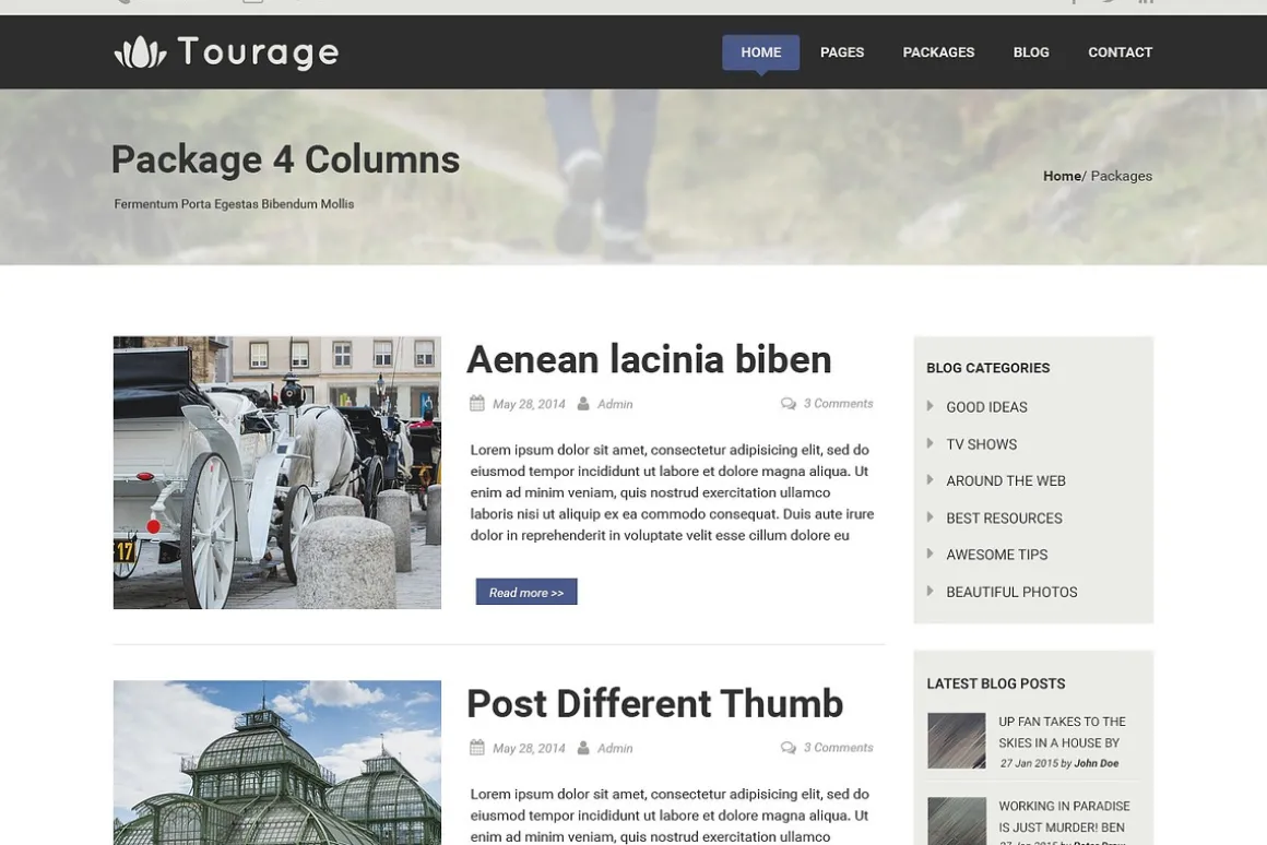Tourage - PSD Website Template