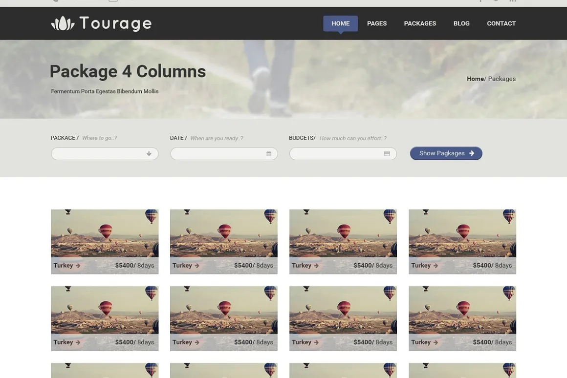 Tourage - PSD Website Template
