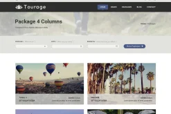 Tourage - PSD Website Template