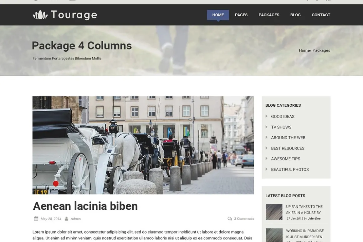 Tourage - PSD Website Template