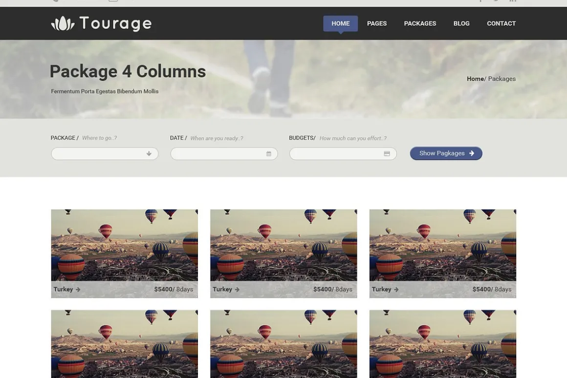 Tourage - PSD Website Template