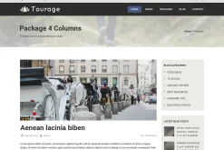 Tourage - PSD Website Template