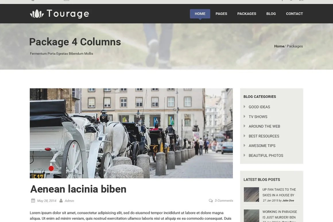 Tourage - PSD Website Template
