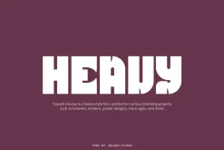Toyseh Groovy - Heavy Font
