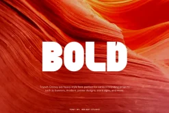 Toyseh Groovy - Heavy Font