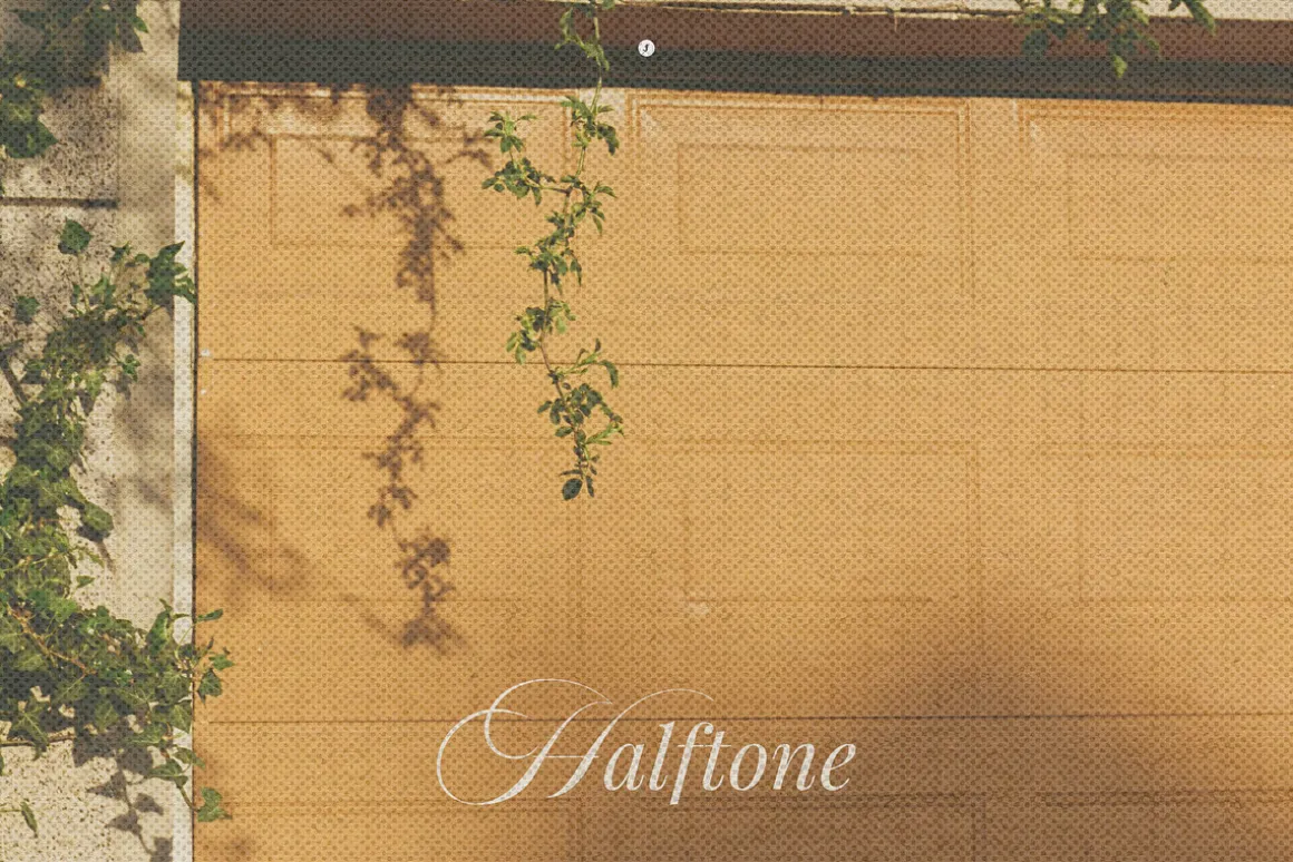 Transparent Halftone Paper Textures
