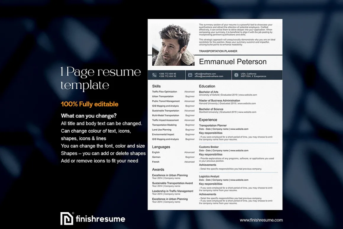 Transportation Planner resume