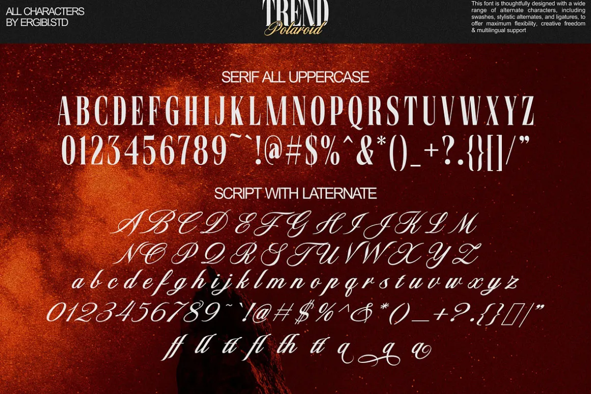 Trend Polaroid - Font Duo