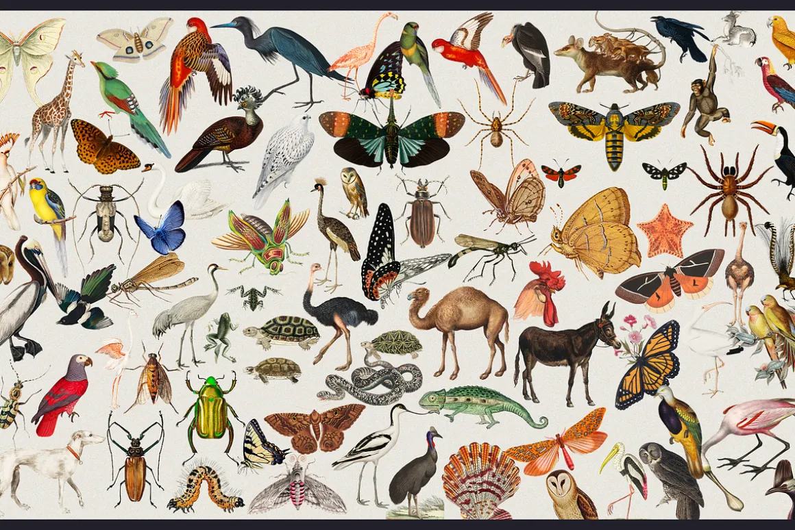 1680+ Trendy Collage Art Creator