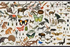 1680+ Trendy Collage Art Creator