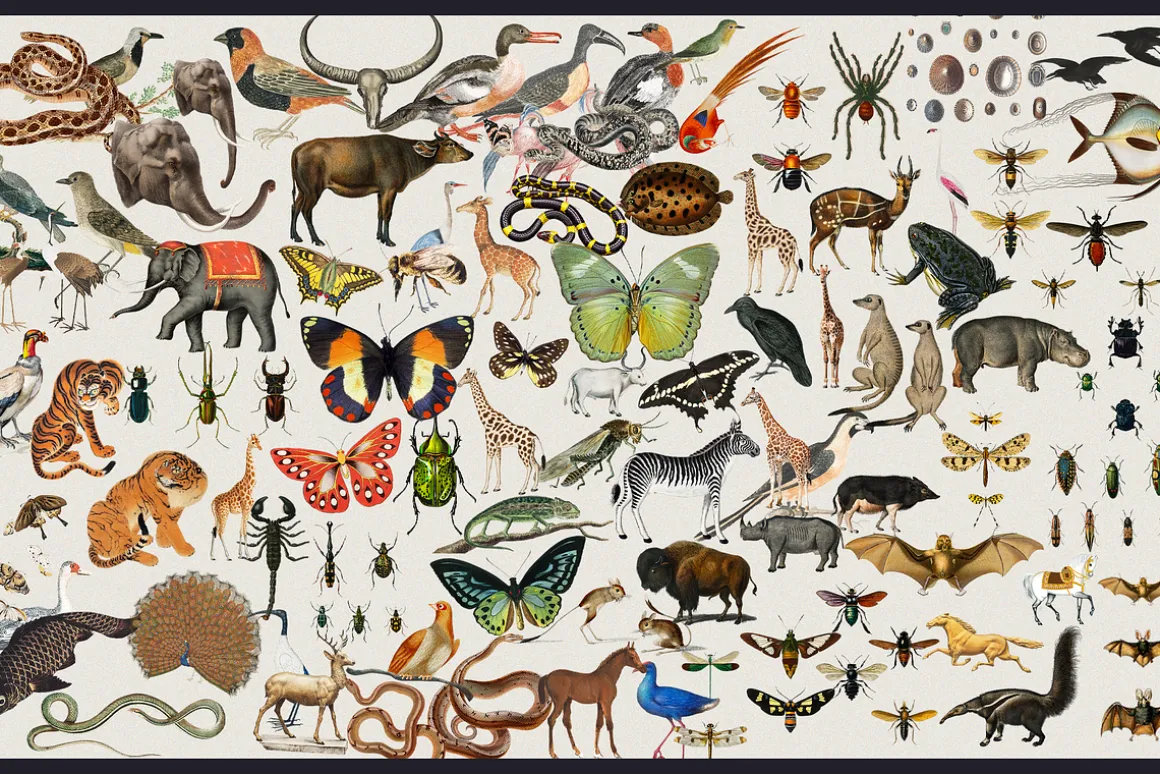 1680+ Trendy Collage Art Creator