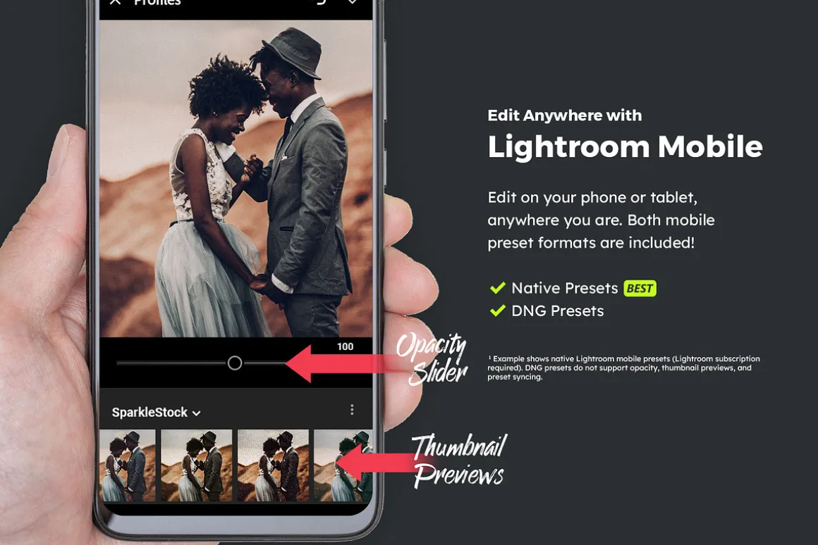 20 Tribal Lightroom Presets & LUTs