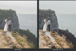 20 Tribal Lightroom Presets & LUTs