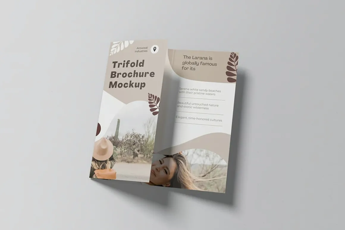 Trifold Brochure Mockups