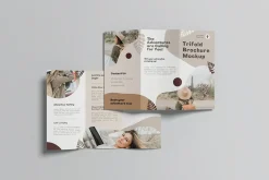 Trifold Brochure Mockups