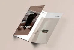 Tri-Fold DL Brochure Mock-up