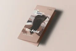 Tri-Fold DL Brochure Mock-up