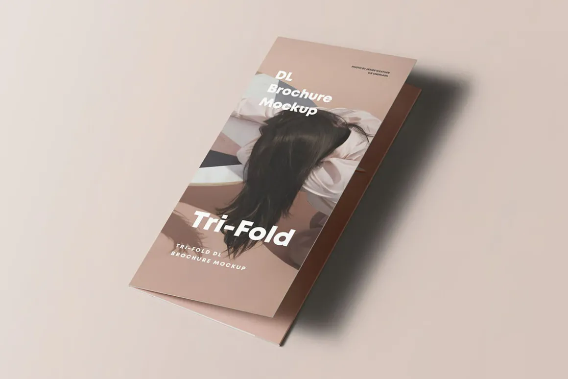 Tri-Fold DL Brochure Mock-up